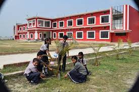 B S D Public School