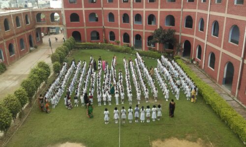 Divine Educational Institute