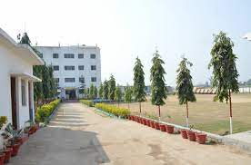 The Earth Public School