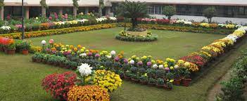 Gulmohur High school