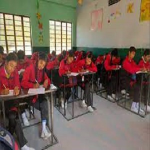 IRIS Public School