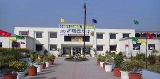 DIPS School