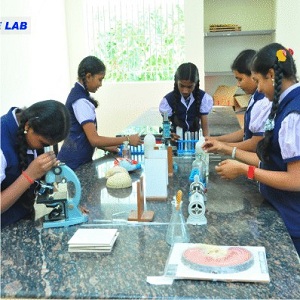 Sri Vani International School