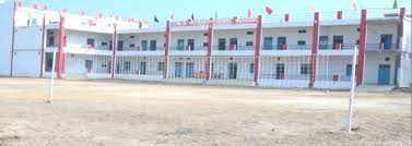 MS International School