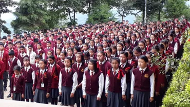 Little Angle's English School