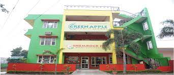 GREEN APPLE PUBLIC SCHOOL