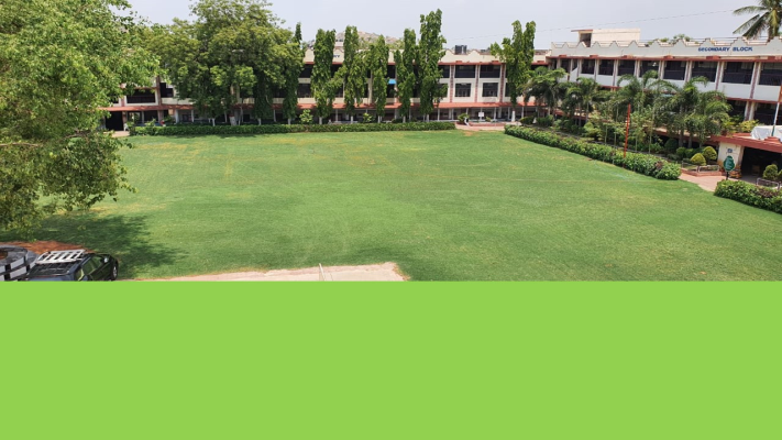 D A V Public School