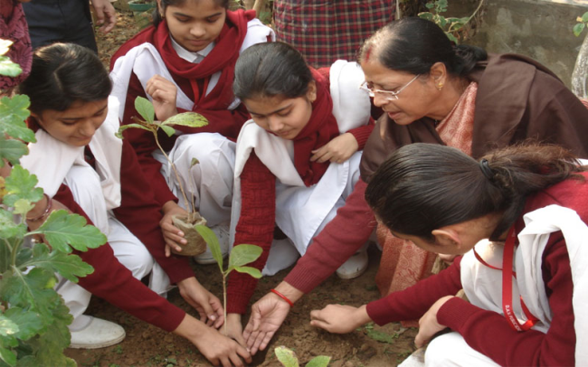 DAV Public School