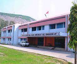 D A V Public School
