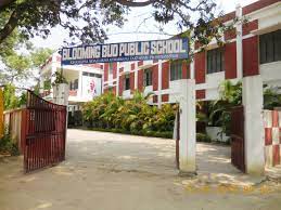 Blooming Bud Public School