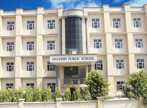 Dolphin International School