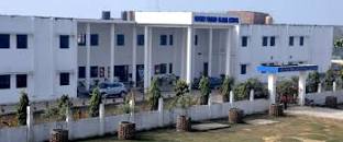 Mother Mariam Global School