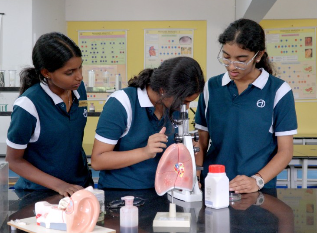 The Academic City School