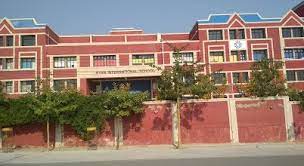 Ryan International  School