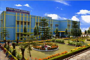 D A V Public School