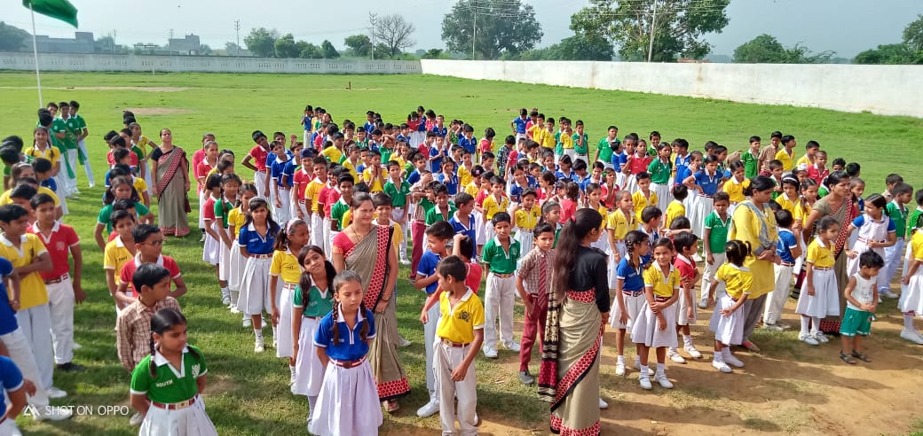 O M B International School