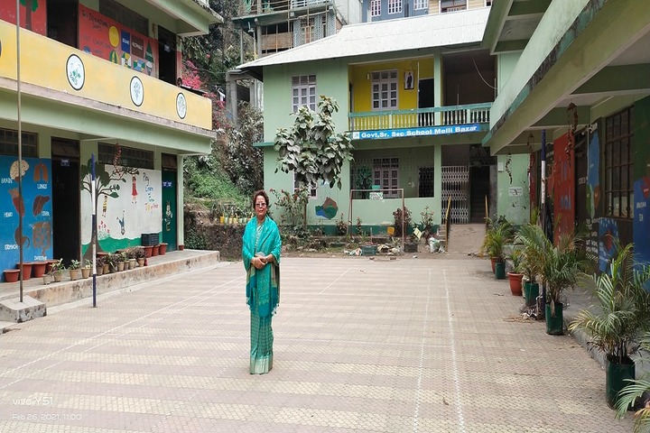 Govt Sr Sec School