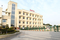 Saffron Public School