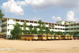 Badri Narayan Shah DAV Public School