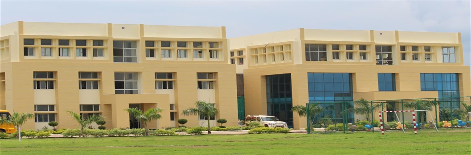 Neiil World School