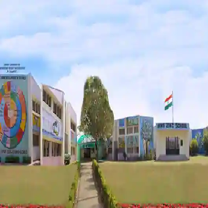 Hind Zinc School