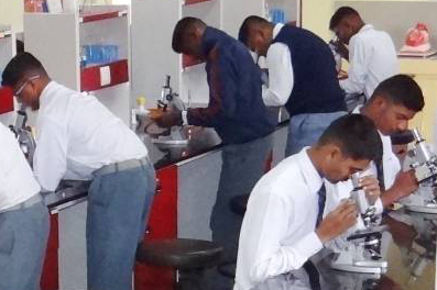 Central Model School
