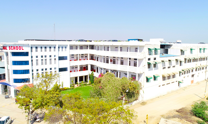 TM International School