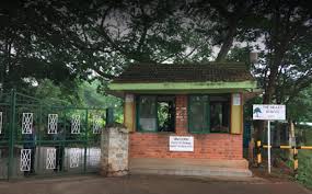 The Valley School