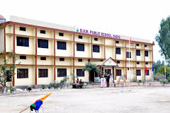 D.V.M. Public School Sadiq
