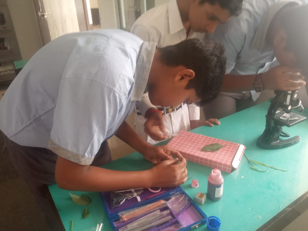 DP Public School