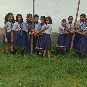 Vikas International Public School