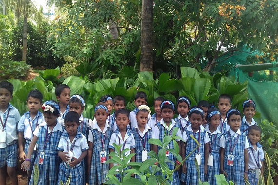 Sheffield Innovative CBSE School