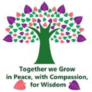 VidyaGram International School-Opp. Radha Swami Bagh, N.H. 11, Chomu, Rajasthan -303702