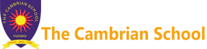 The Cambrian School-saadatganj, Lucknow Road, na, Uttar Pradesh -224001