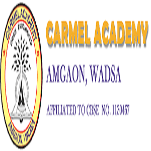 Carmel Academy-Sakoli Warsa Rd, Ambgaon, Maharashtra -441207