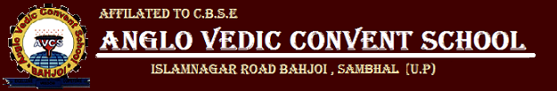 Anglo Vedic Convent School-Islamnagar Road, Bahjoi, na, Uttar Pradesh -202410
