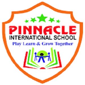 Pinnacle International School,-Taroda Bk Rd, near Sai Lawns Mangal Karyala, Malegaon, Maharashtra -431605