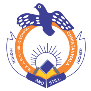 Baba Appo Aap Guru Nanak Public School-V P Chhintanwala Teh Nabha Dist. Patiala Punjab, NA, Punjab -147201