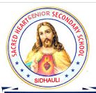 Sacred Heart School Sidhauli-Ahmedpur Jet Rlyway Crossing, Lucknow Road, Sitapur, Uttar Pradesh -261303