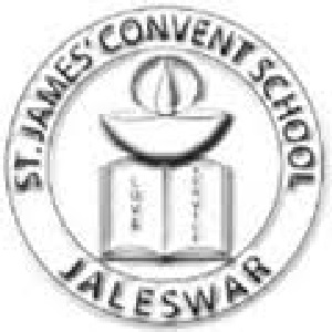 St. James' Convent School-Panchughunta, Jaleswar, Orissa -756032