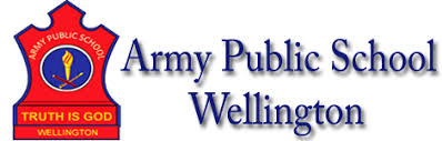army public school- https://schooldekho.org/army-public-school-12542