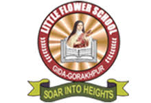 Little Flower School- https://schooldekho.org/Little-Flower-School-9763