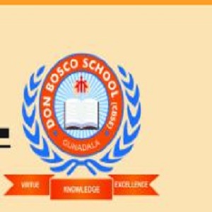Don Bosco School- https://schooldekho.org/don-bosco-school-1869