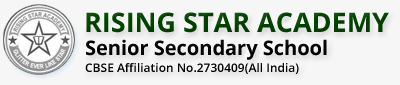 Rising Star Academy Public School-110 Raj Nagar Pitam Pura Delhi, NA, Delhi -110034