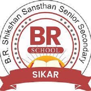 B.R. Shikshan Sansthan Senior Secondary School-Chelasi, Salasar Road, Sikar, Rajasthan -332041