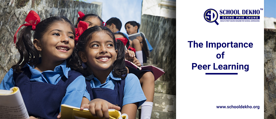 The Importance of Peer Learning